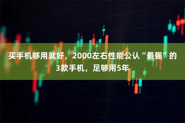 买手机够用就好，2000左右性能公认“最强”的3款手机，足够用5年