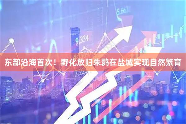 东部沿海首次！野化放归朱鹮在盐城实现自然繁育