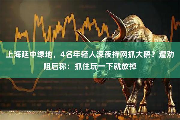 上海延中绿地，4名年轻人深夜持网抓大鹅？遭劝阻后称：抓住玩一下就放掉